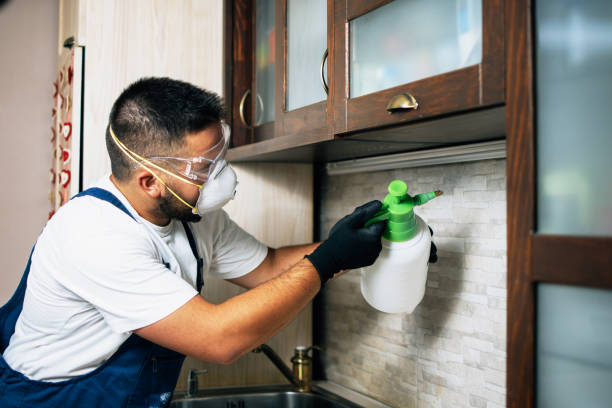Wildlife Control Services in Clarion, PA