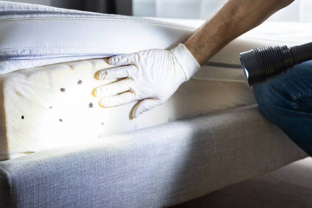 Best Best Pest Control Companies  in Clarion, PA
