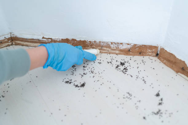 Best Emergency Pest Control  in Clarion, PA