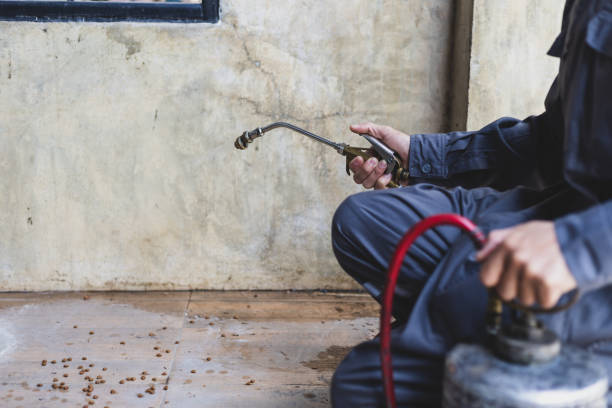 Best Wasp Removal Services  in Clarion, PA